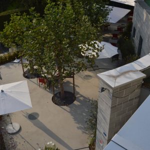 repas a midi terrasse monthey